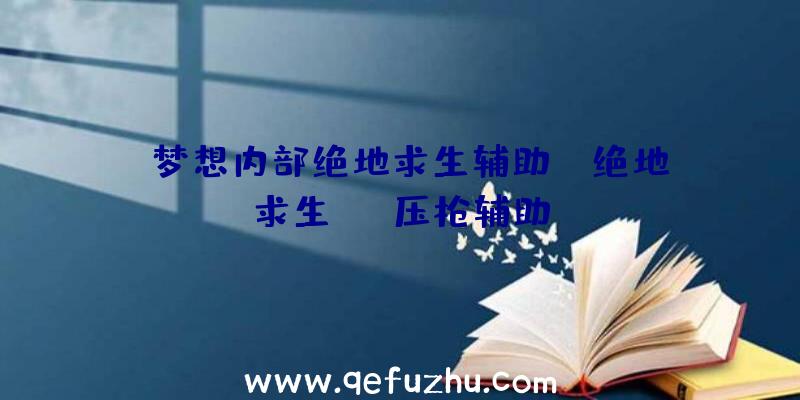 「梦想内部绝地求生辅助」|绝地求生usb压枪辅助